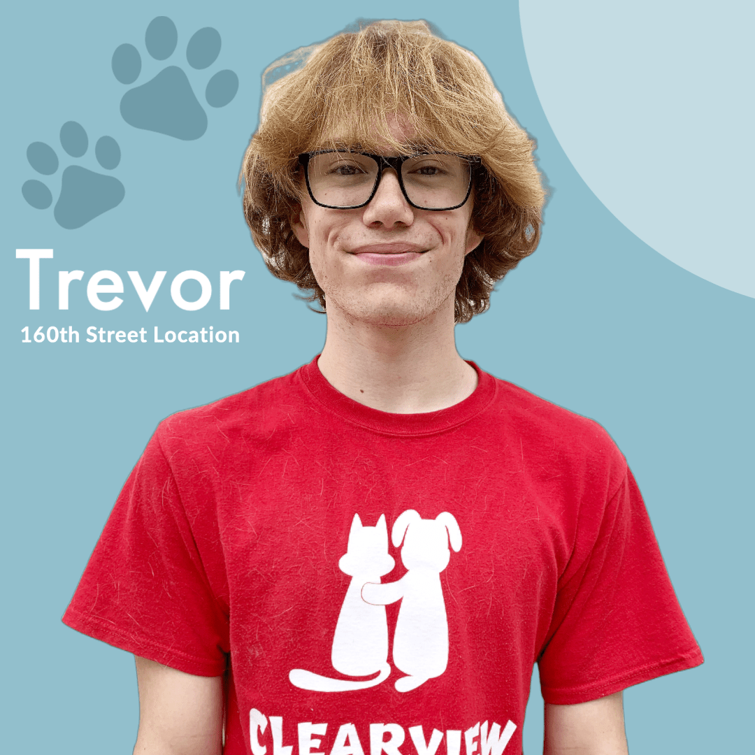 Clearview Pet Care Centre Meet Our Team Omaha NE