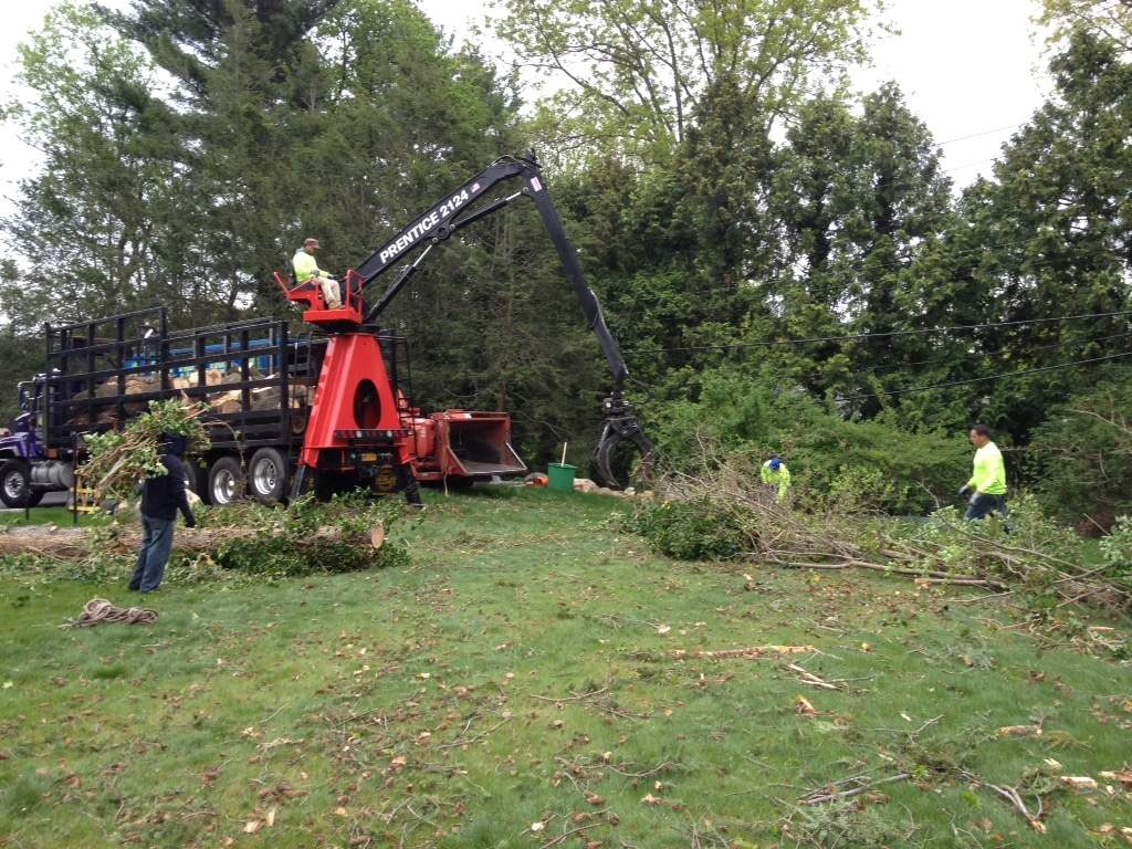 Land Clearing Services in Long Island Clearview Tree and Land