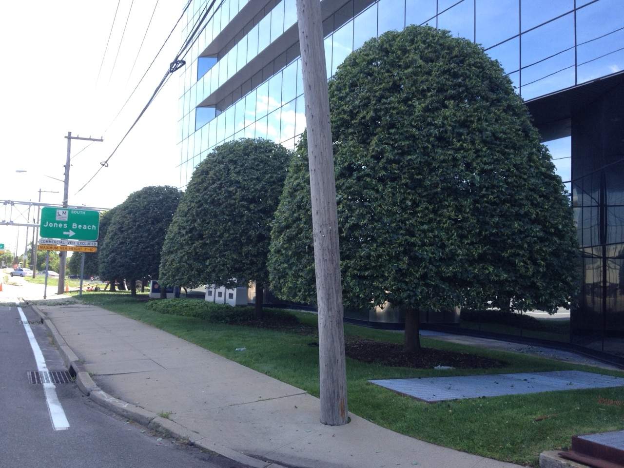 The Best in Tree and Land Service Clearview Tree and Land