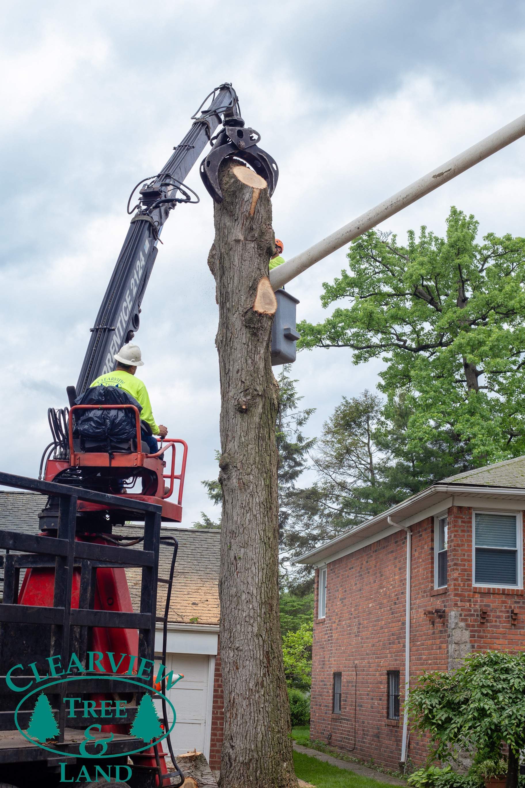 Nassau County Tree Service Tree Removal Pruning Clearview Tree