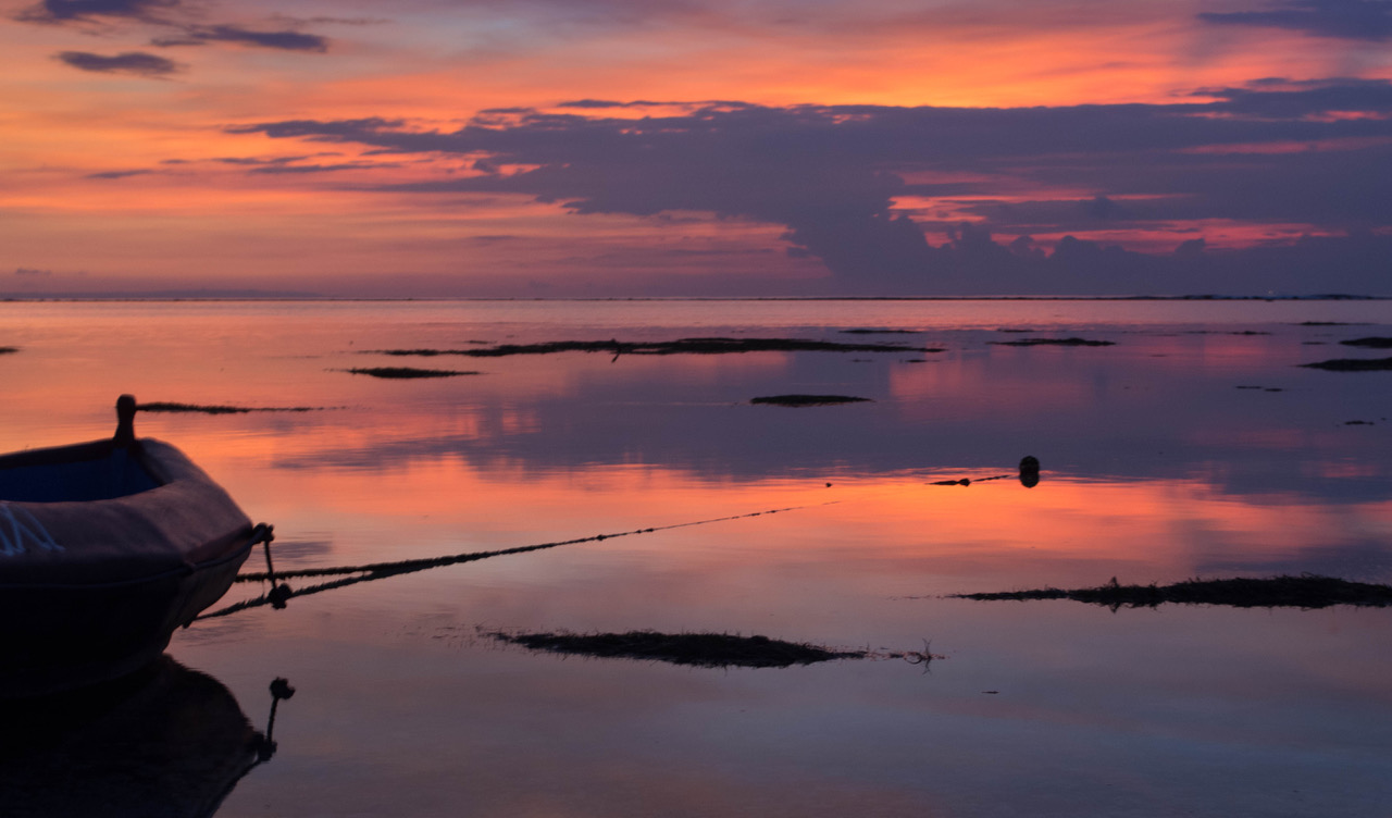 Denise Gallagher MINDSCAPES Photographs • Cleaver Magazine