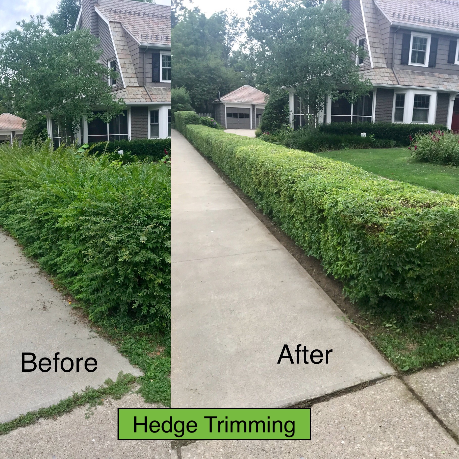 Trimming and Pruning CLE Landscaping Co., LLC