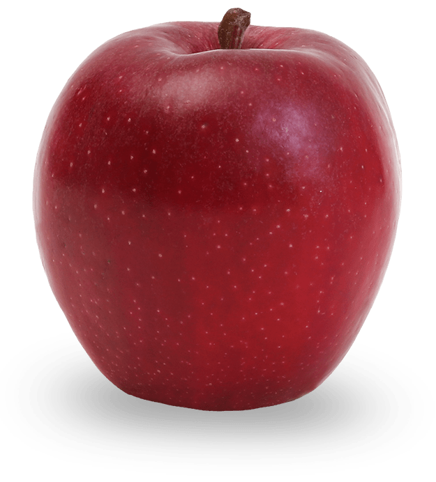 Apple Clementi