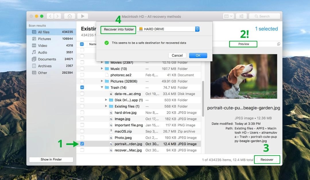Recover Deleted Files from an Emptied Trash on Mac (2020)