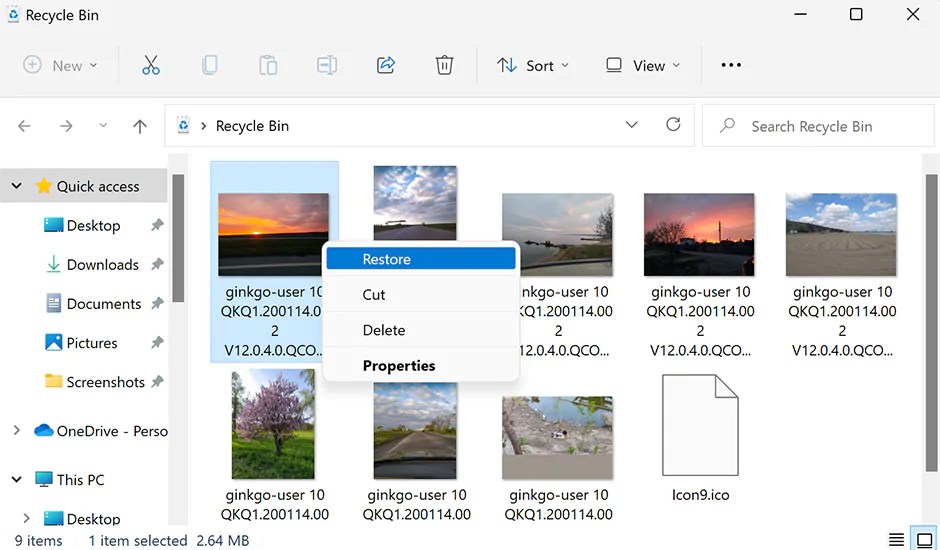 8 Easy Ways to Recover Files Deleted from Recycle Bin [2024]