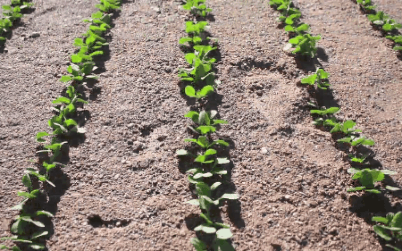 Catch on how to create VR content in the most effective way