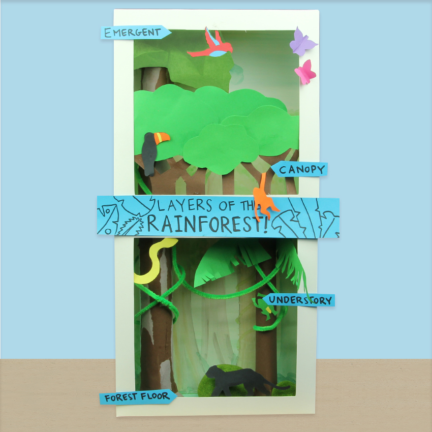 Layers of the Rainforest Diorama CleverPatch CleverPatch Art