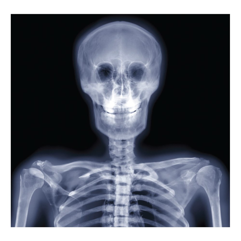 XRay Human Body Kit Light Box & XRays CleverPatch Art & Craft Supplies