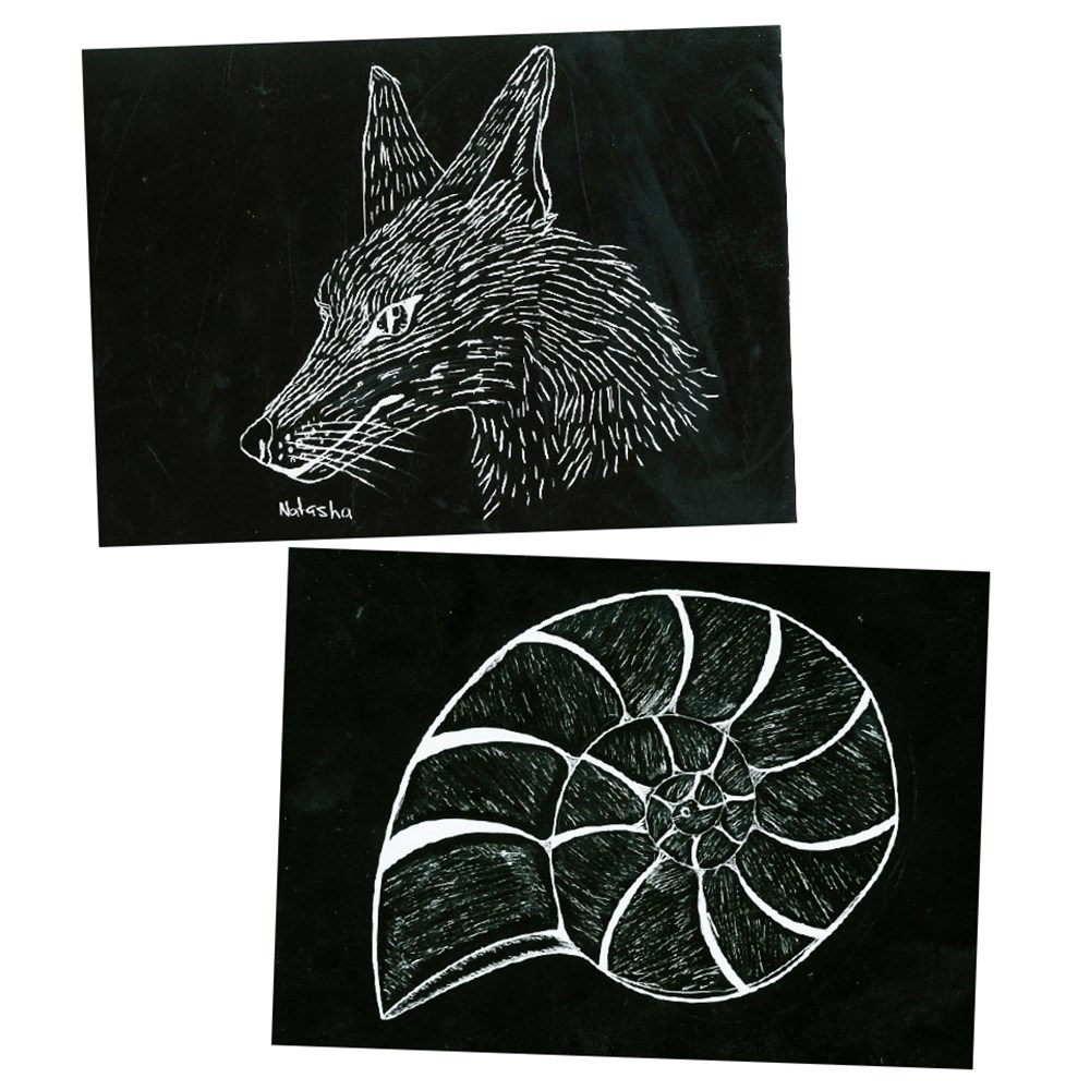 Scratch Board Silver Pack of 20 Scratch Board CleverPatch Art