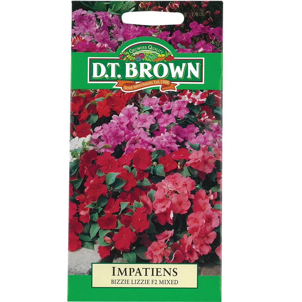 Impatiens Seeds Pack of 40 Gardening CleverPatch Art & Craft