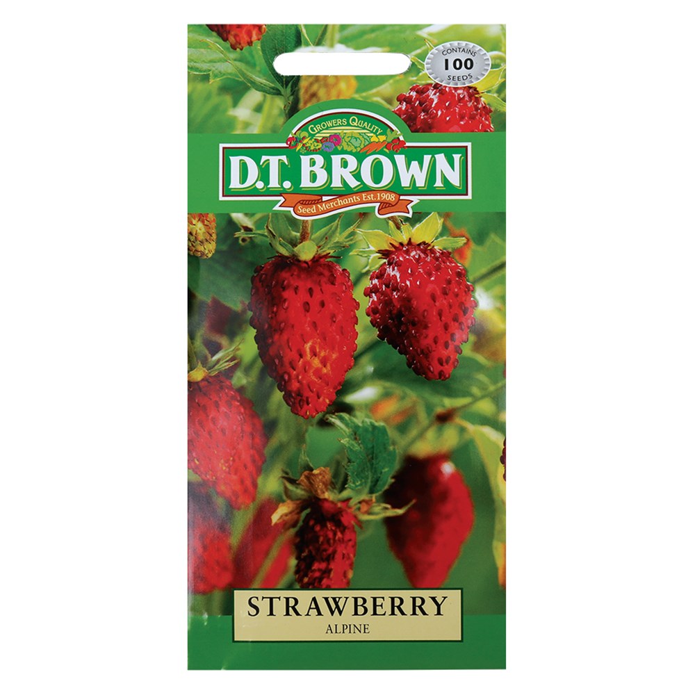 Strawberry Seeds Pack of 100 CleverPatch CleverPatch Art
