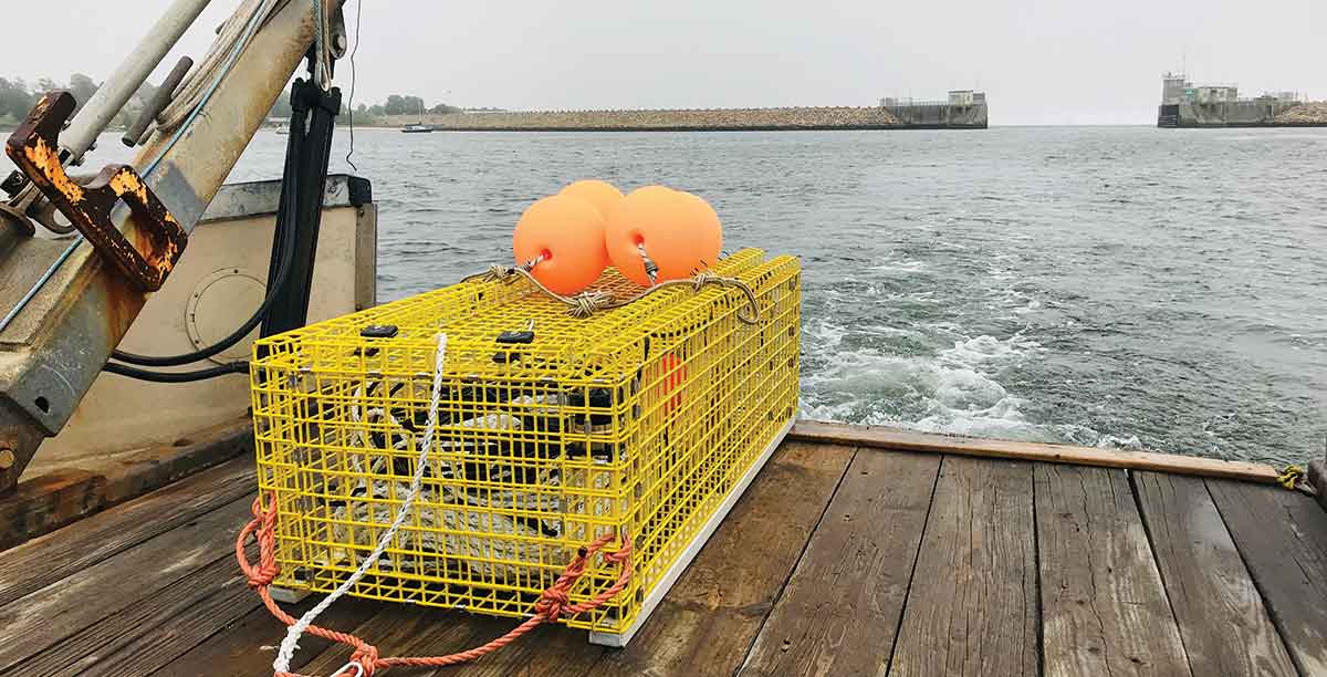 The Road to Ropeless Fishing Gear