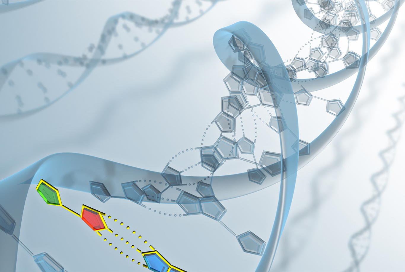Artificial_Insemination Cornell Law Firm