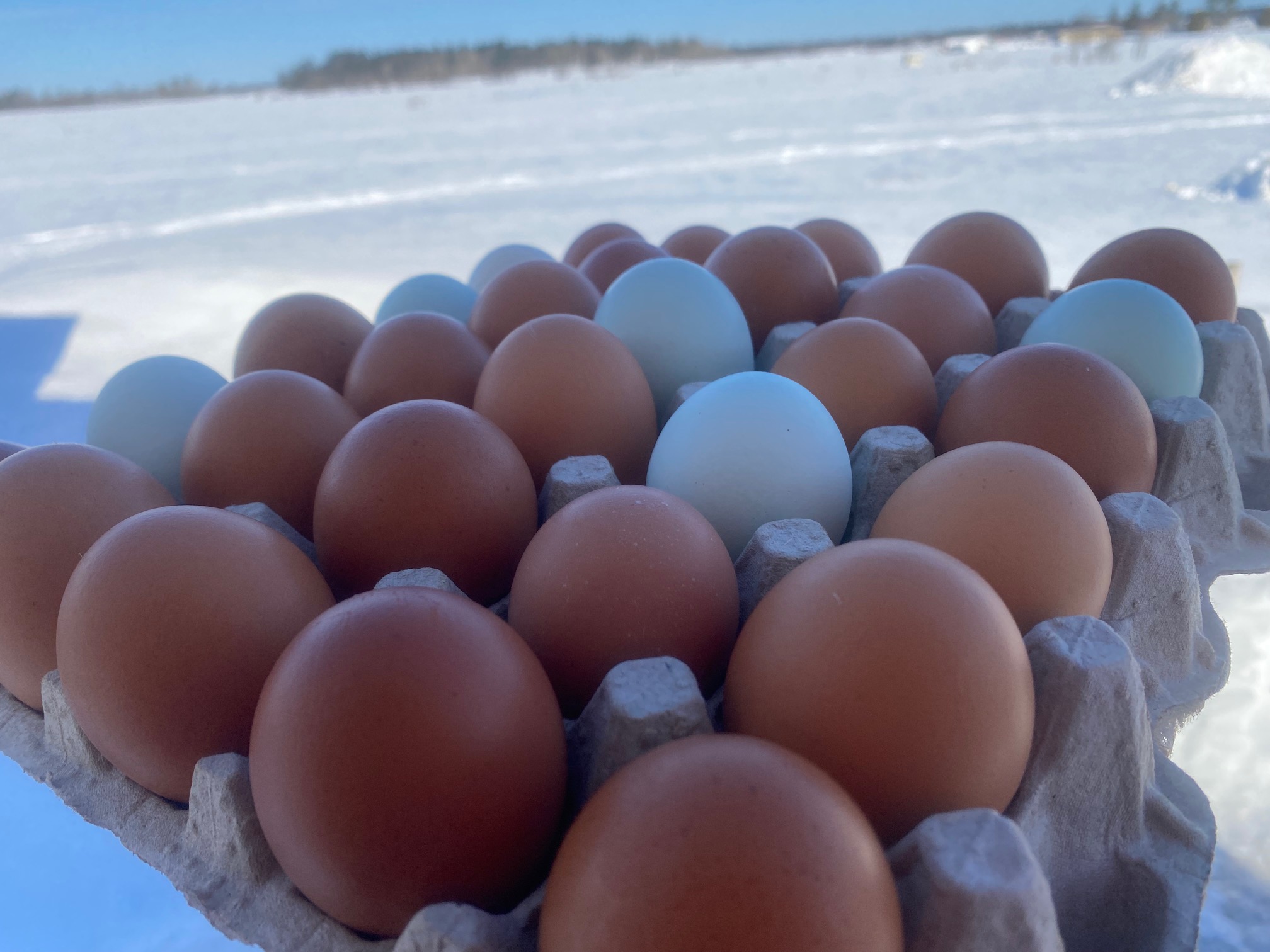 Farm Fresh Eggs (Dalew Farms) Click Fork