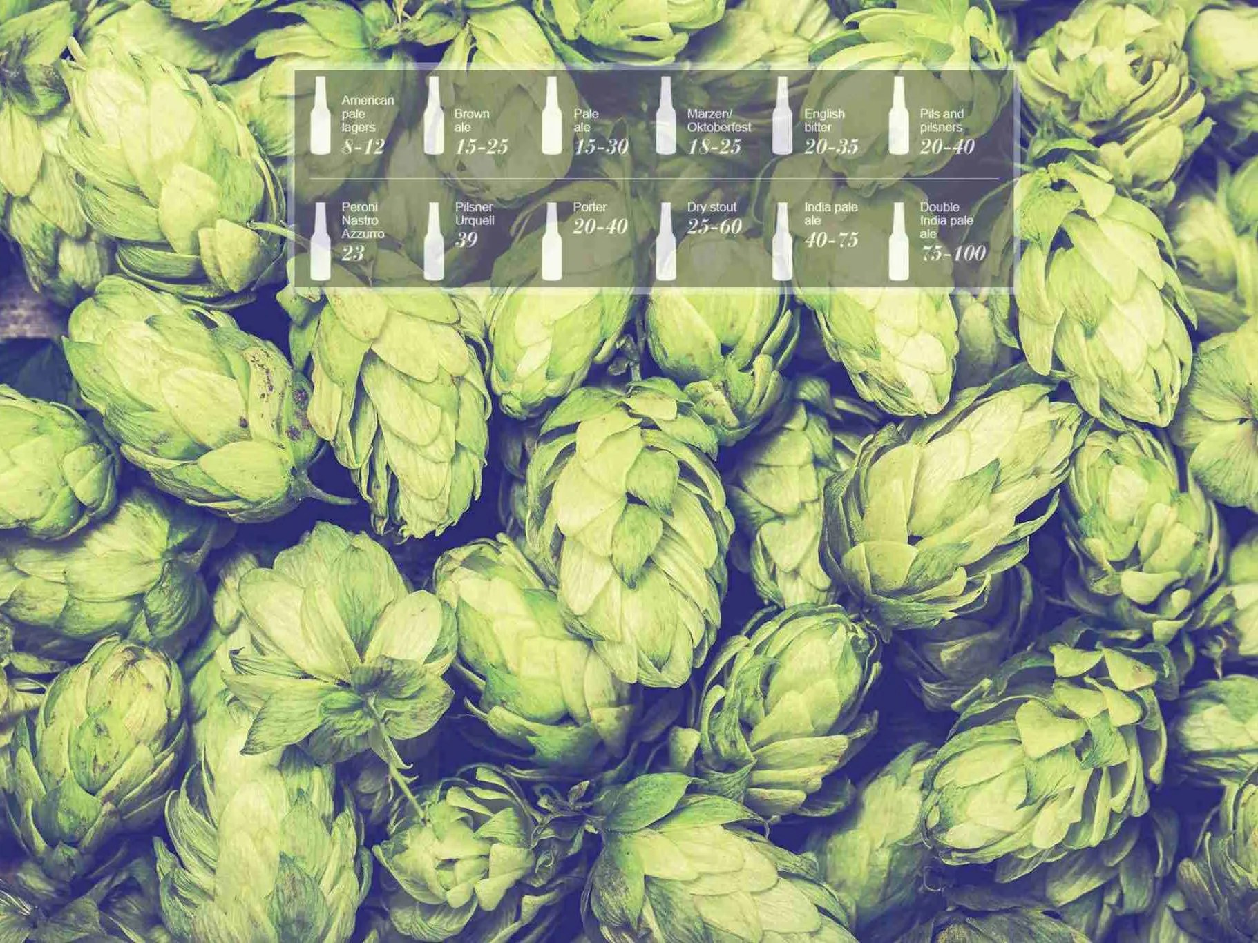 Bitterness (IBU) Cliffs Notes Beer Guide