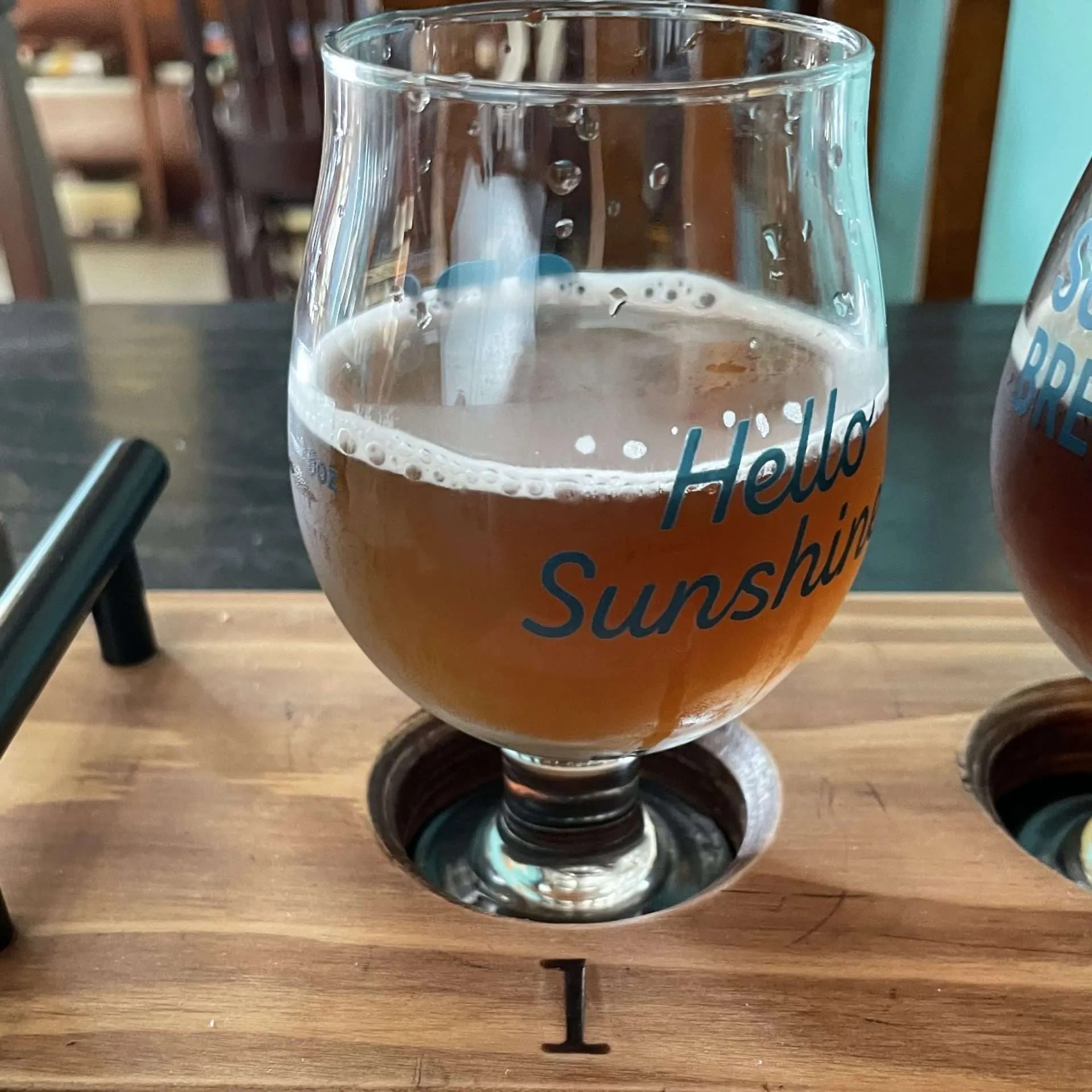 Sunshine Brewing Co. Cliffs Notes Beer Guide