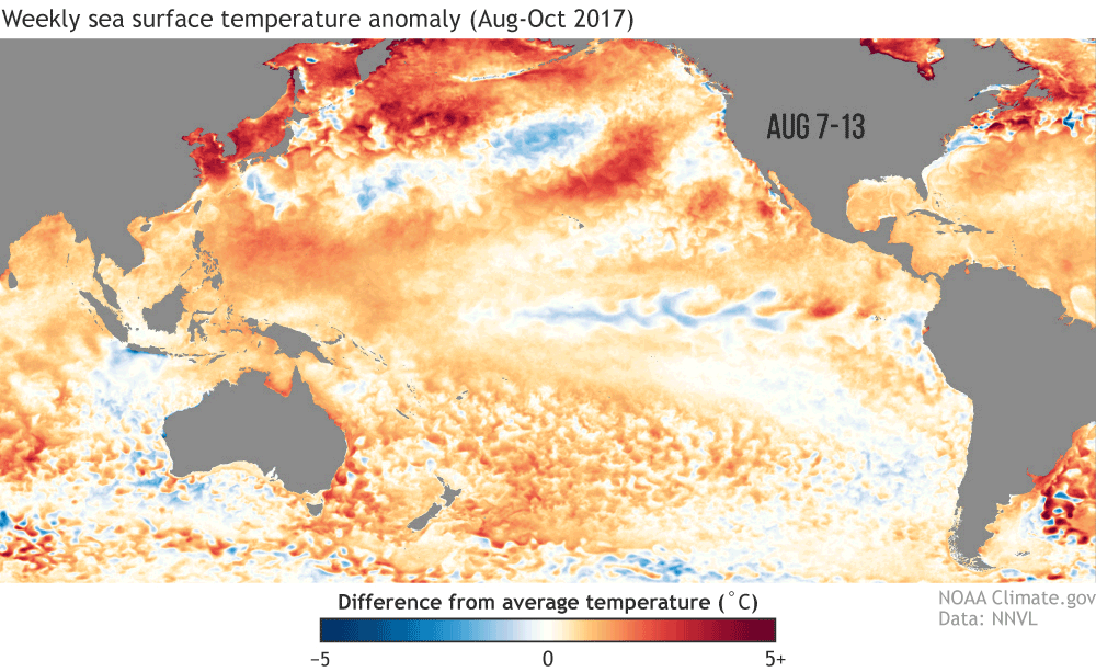 ENSO_Fig3_SSTA_animation_201710_large.gif