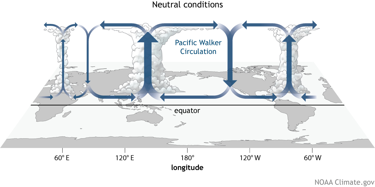 The Walker Circulation ENSO’s atmospheric buddy La Niña Ready Nations
