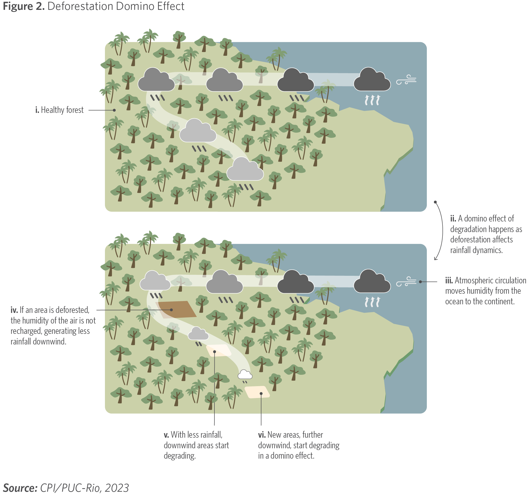 The Amazon Domino Effect How Deforestation Can Trigger Widespread(03)