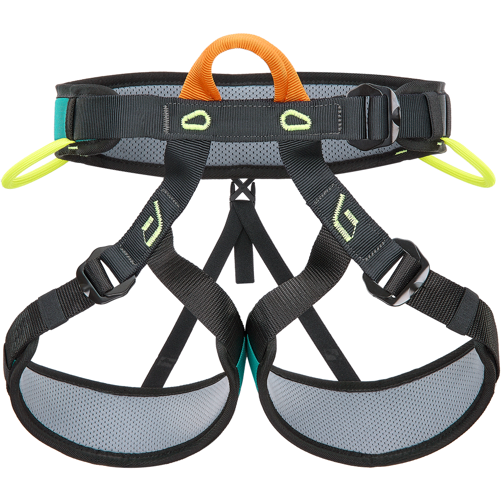 Cheap and stylish Climbing Technology Unisex_Adult 7H145E0CTSTD Harness