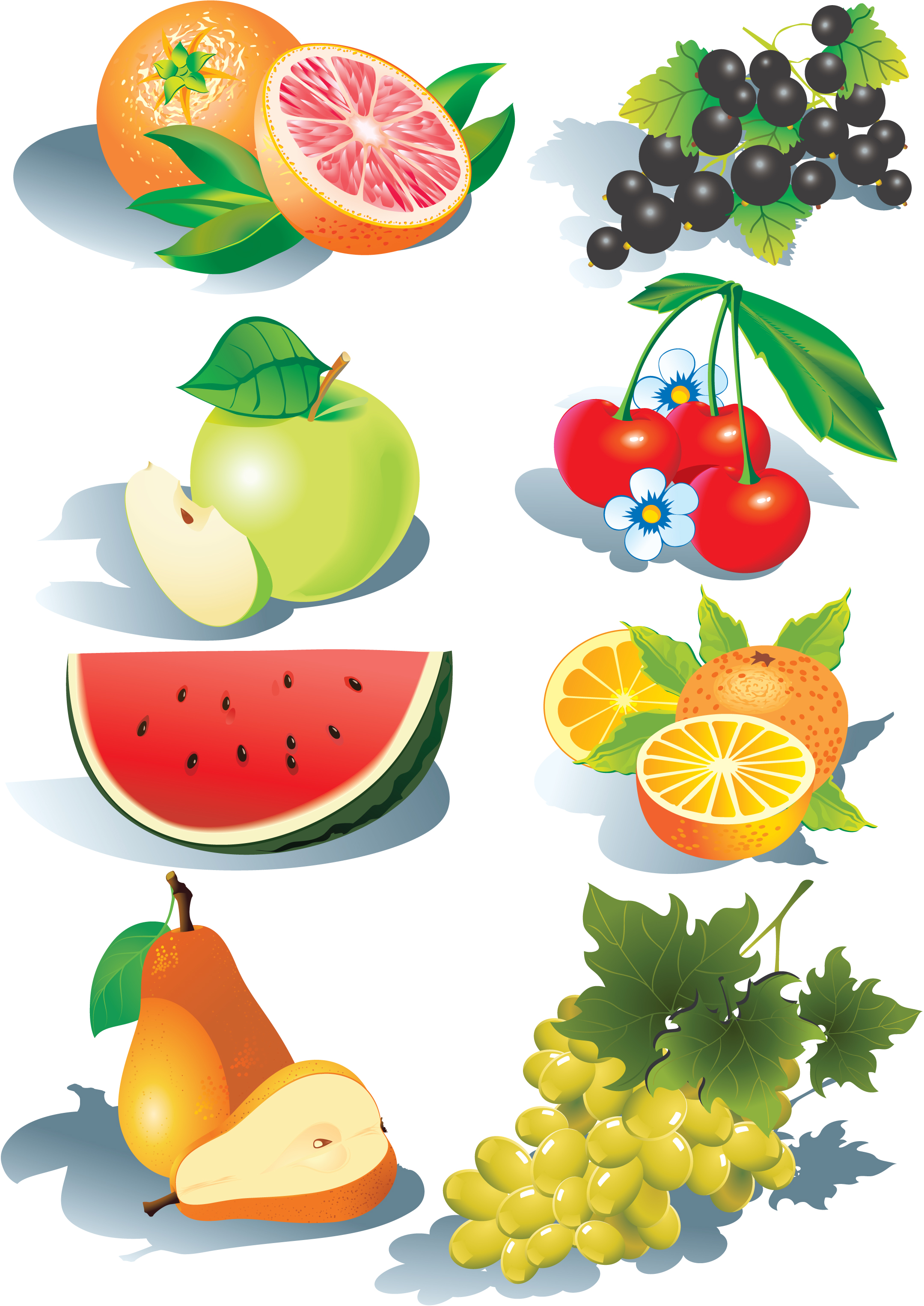Vector Fruit ClipArt Best
