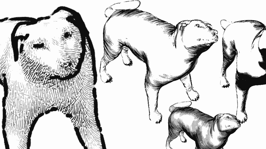 Dog Brushes images ClipArt Best ClipArt Best