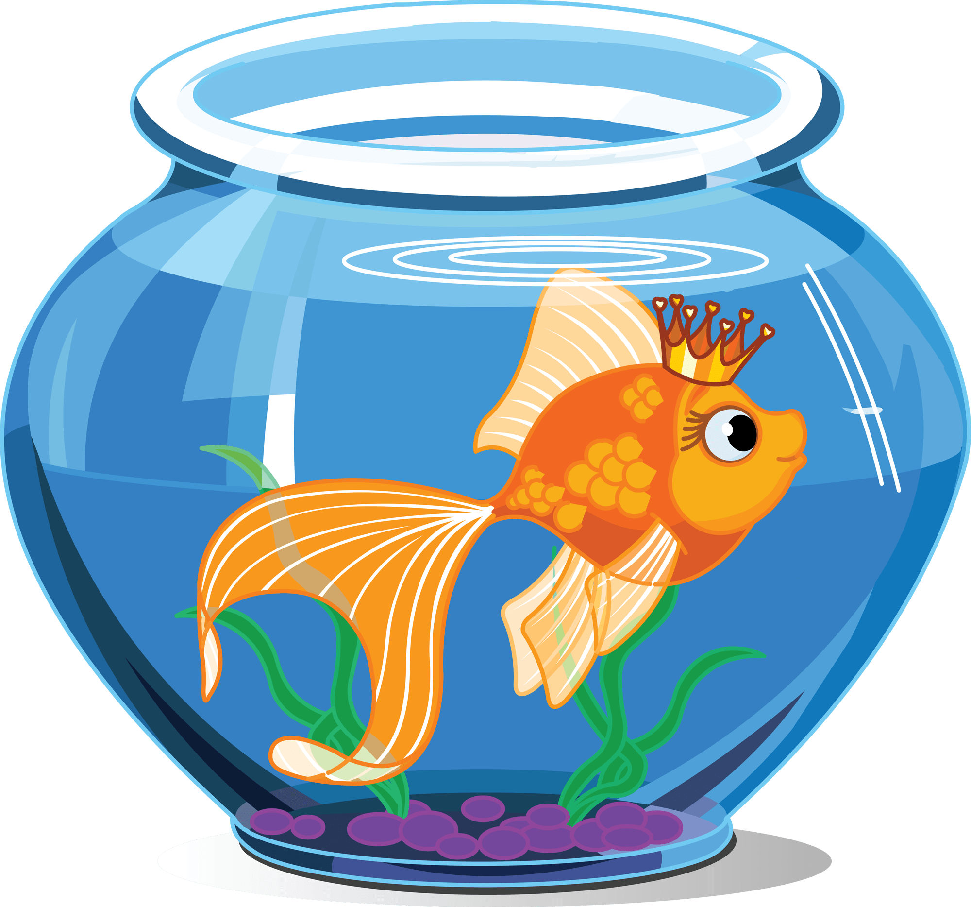 pet fish clipart pet fish clipart 2017 Fish Tank Maintenance