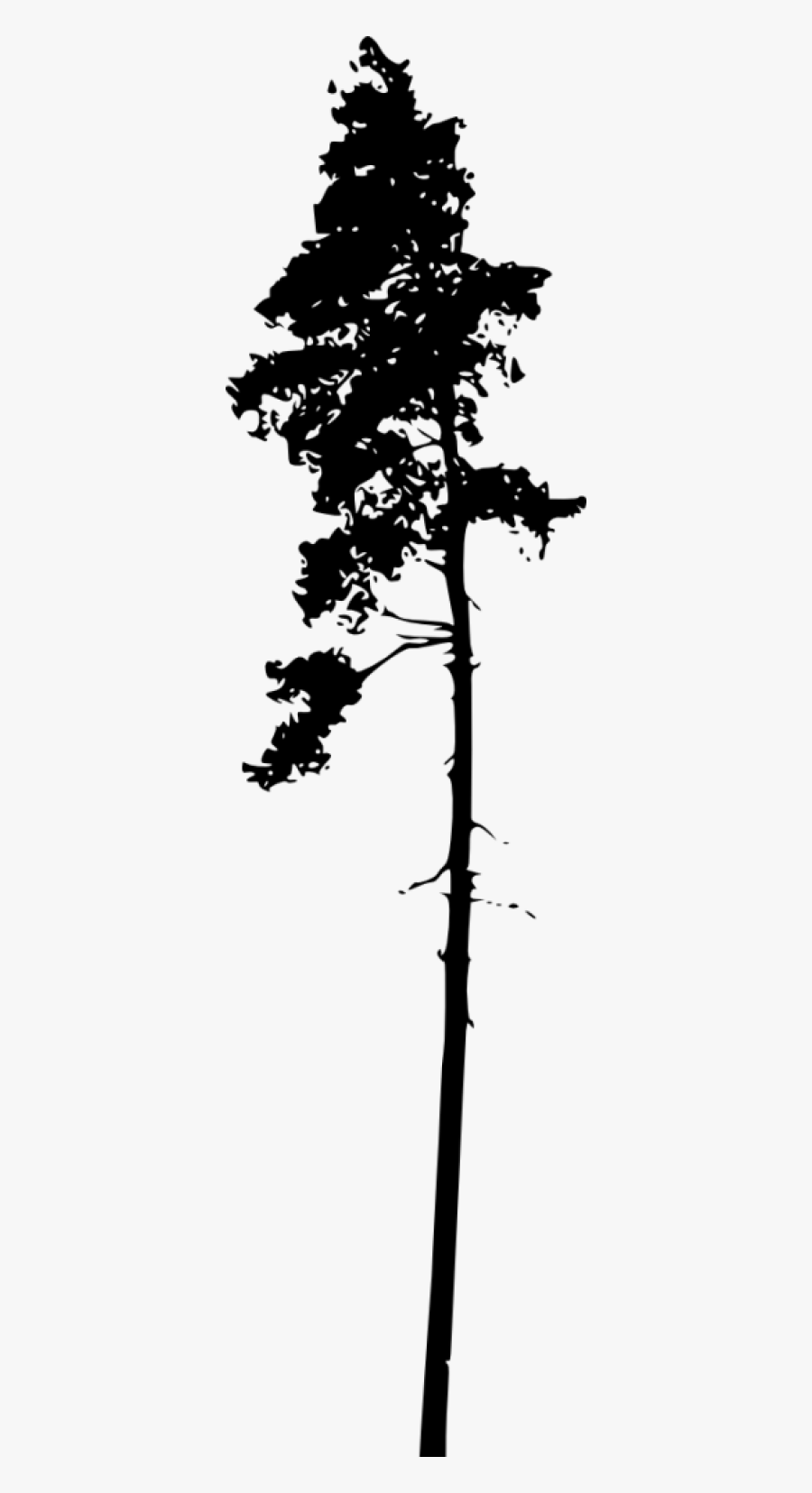 Pine Tree Trunk Silhouette , Free Transparent Clipart ClipartKey