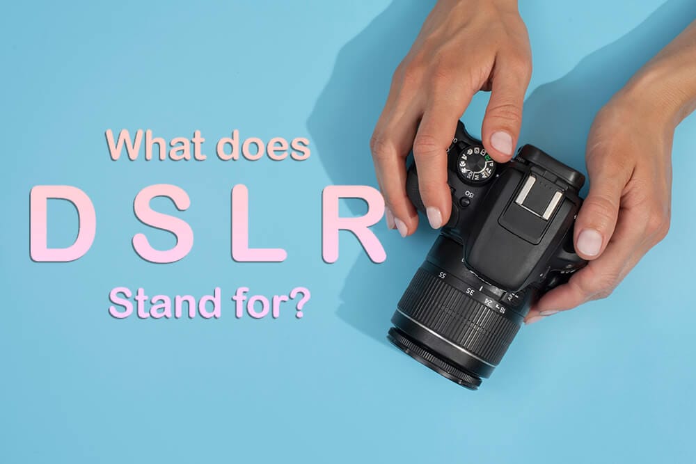 What Does DSLR Stand For Beginner’s Guide Clipping Path Source