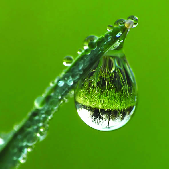 Holistic Dentistry Clock Tower Dental Epsom Surrey