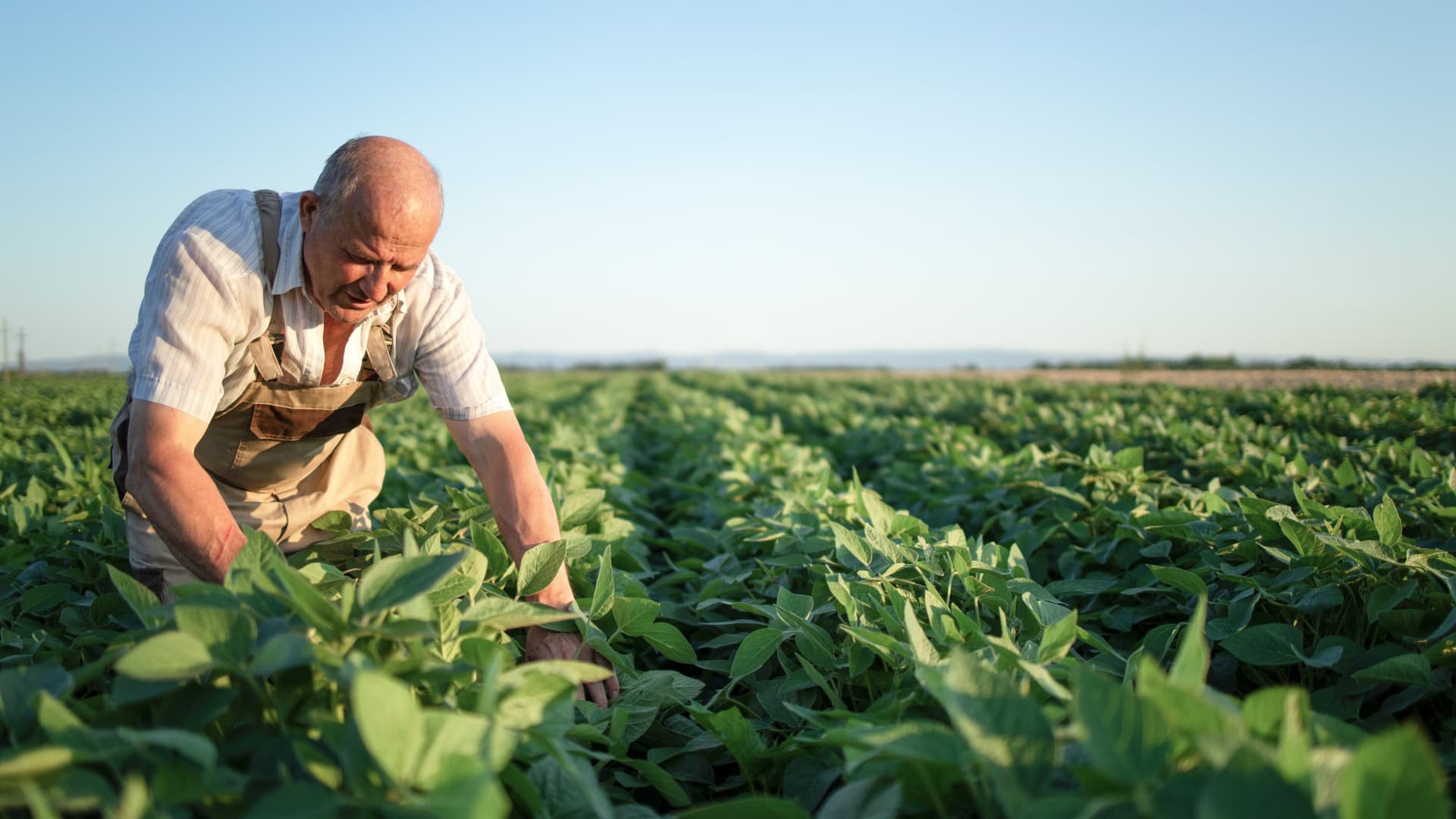 Multinational Food Company Case Study Clockwork