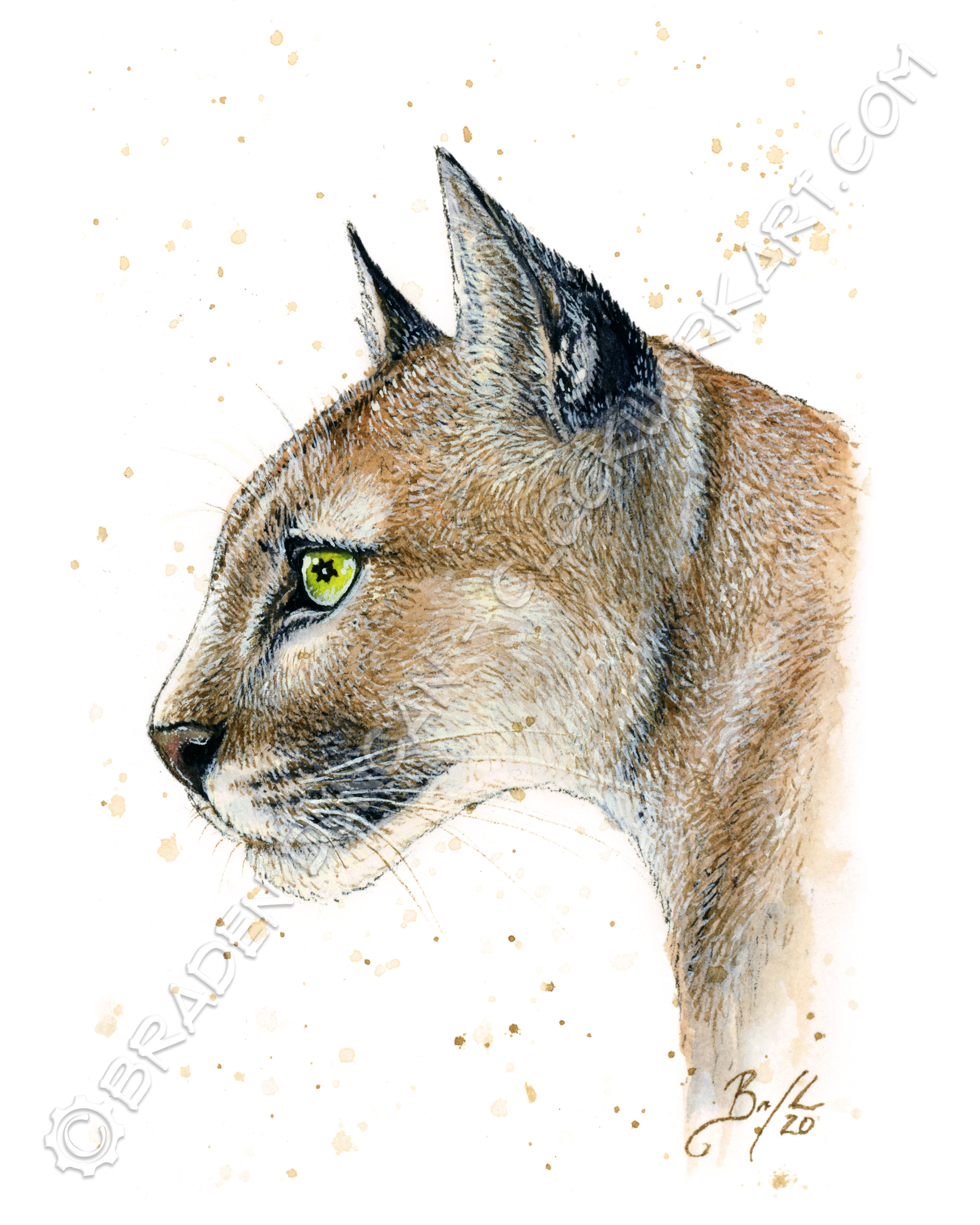 PRINT Cougar