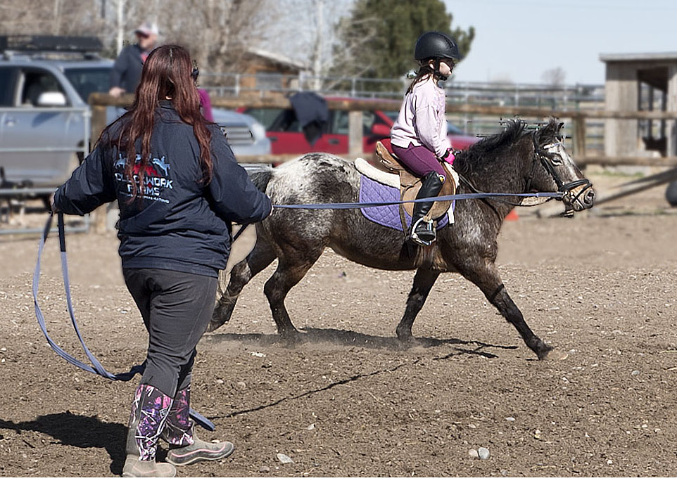Lessons to Clockwork Farms