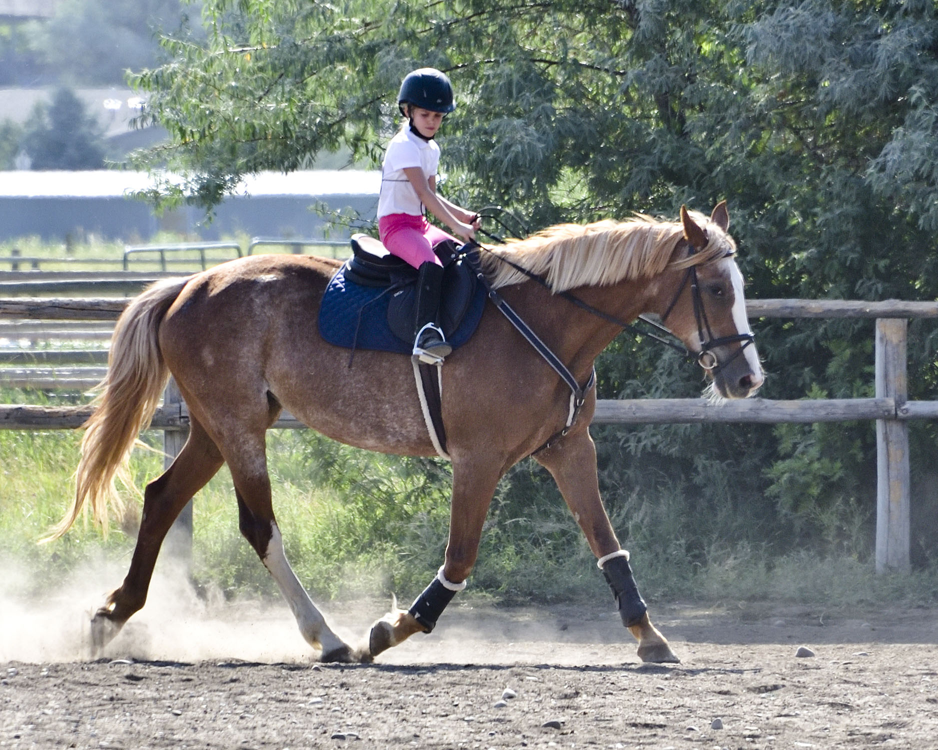 Facility to Clockwork Farms