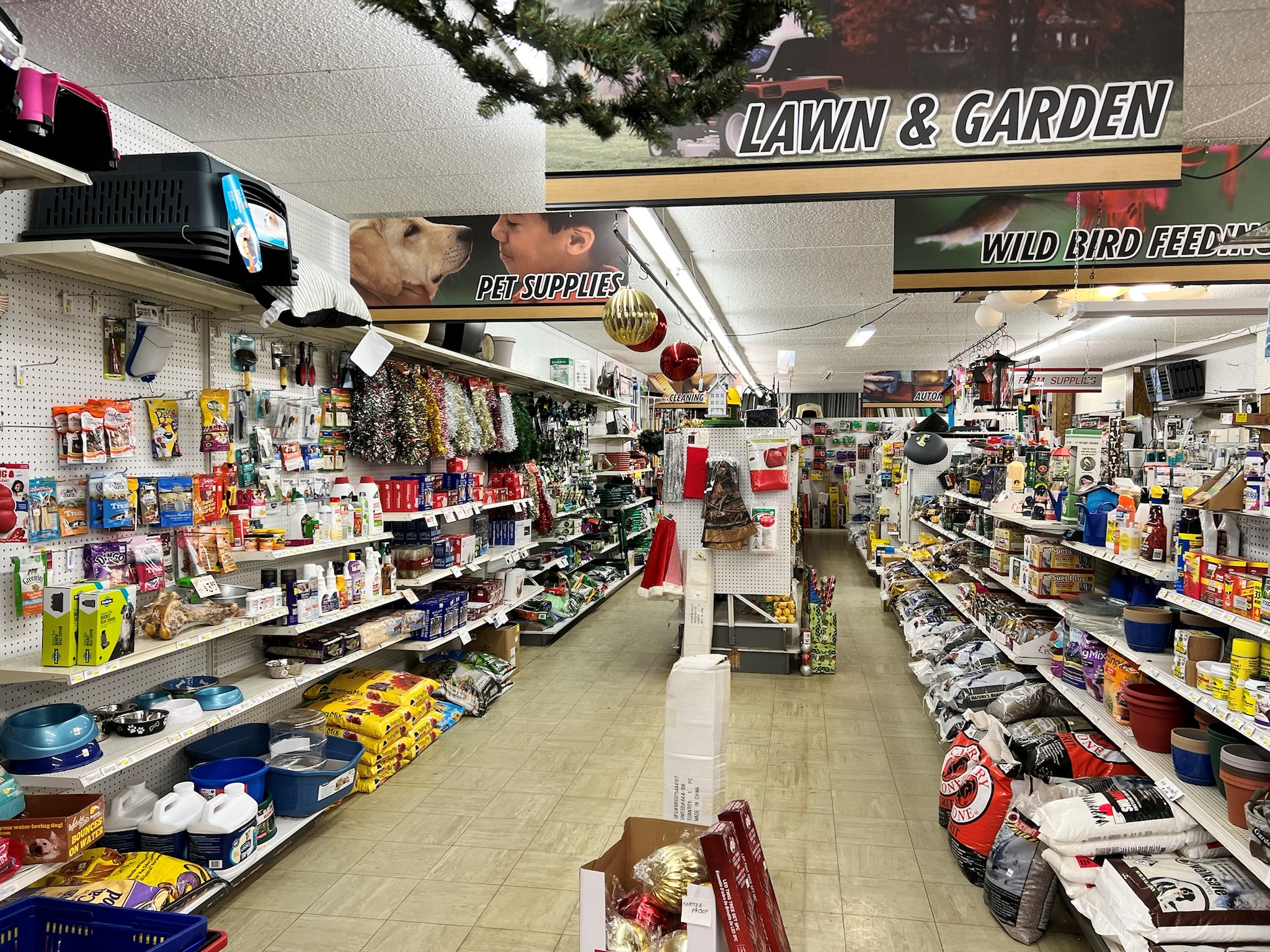 PRICE REDUCED! Gardiner’s Hardware Hank Close Converse