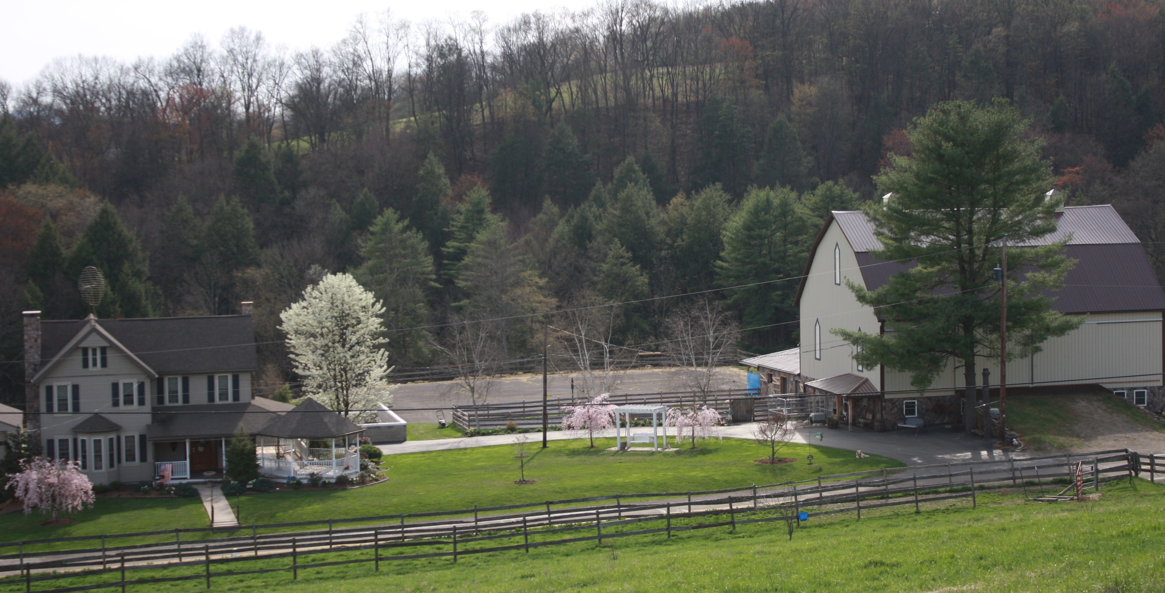 PA lab breeder,Linden PA lab breeder, AKC registered labs, American lab