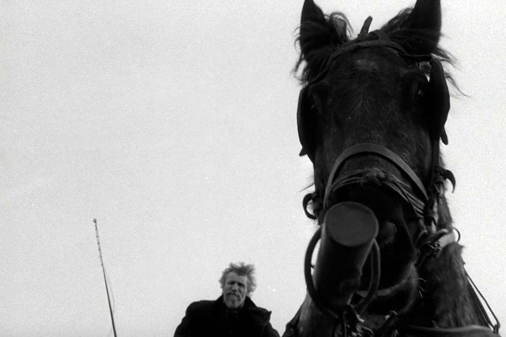 CLOSEUP The Turin Horse