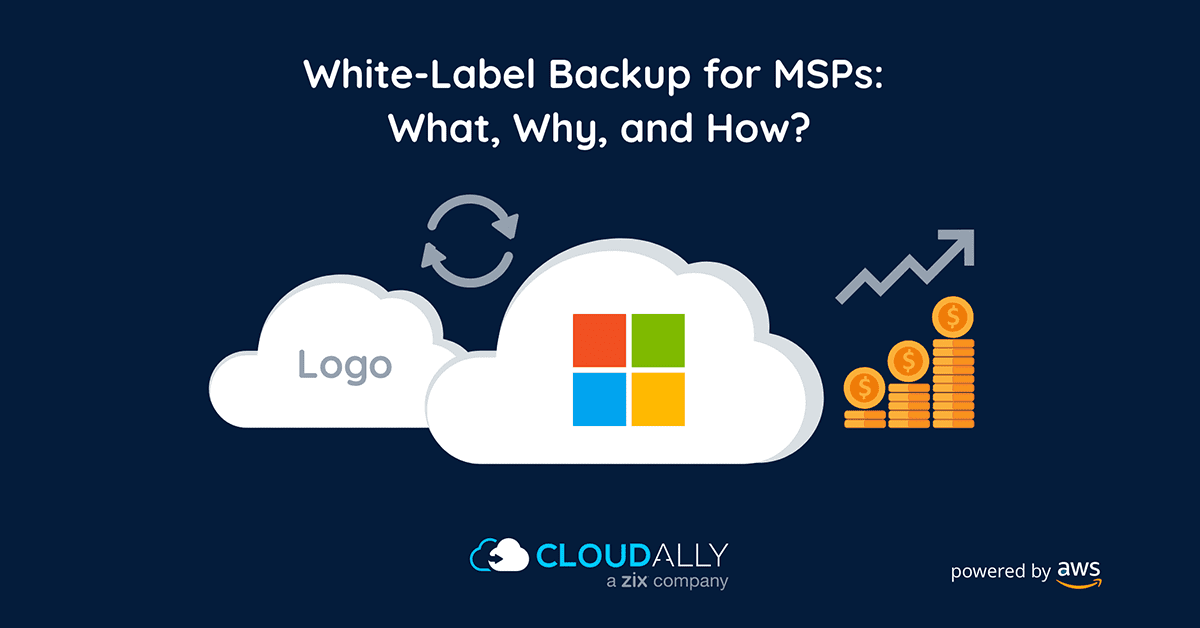 White Label Managed Services for MSP Backup CloudAlly