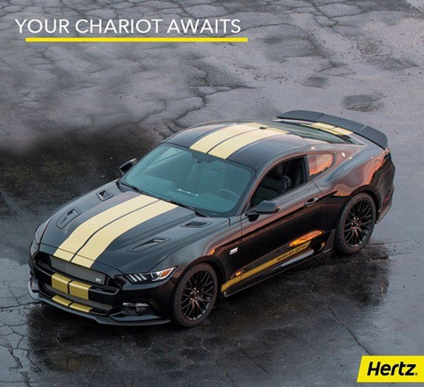 Hertz Leads IT Transformation using Cloud Foundry Cloud Foundry