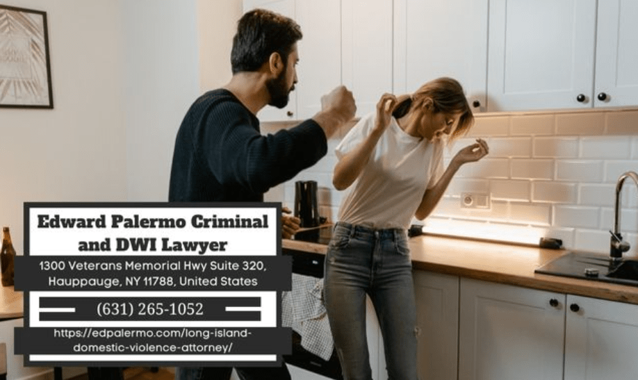 New York Domestic Violence Attorney Edward Palermo Explains Domestic