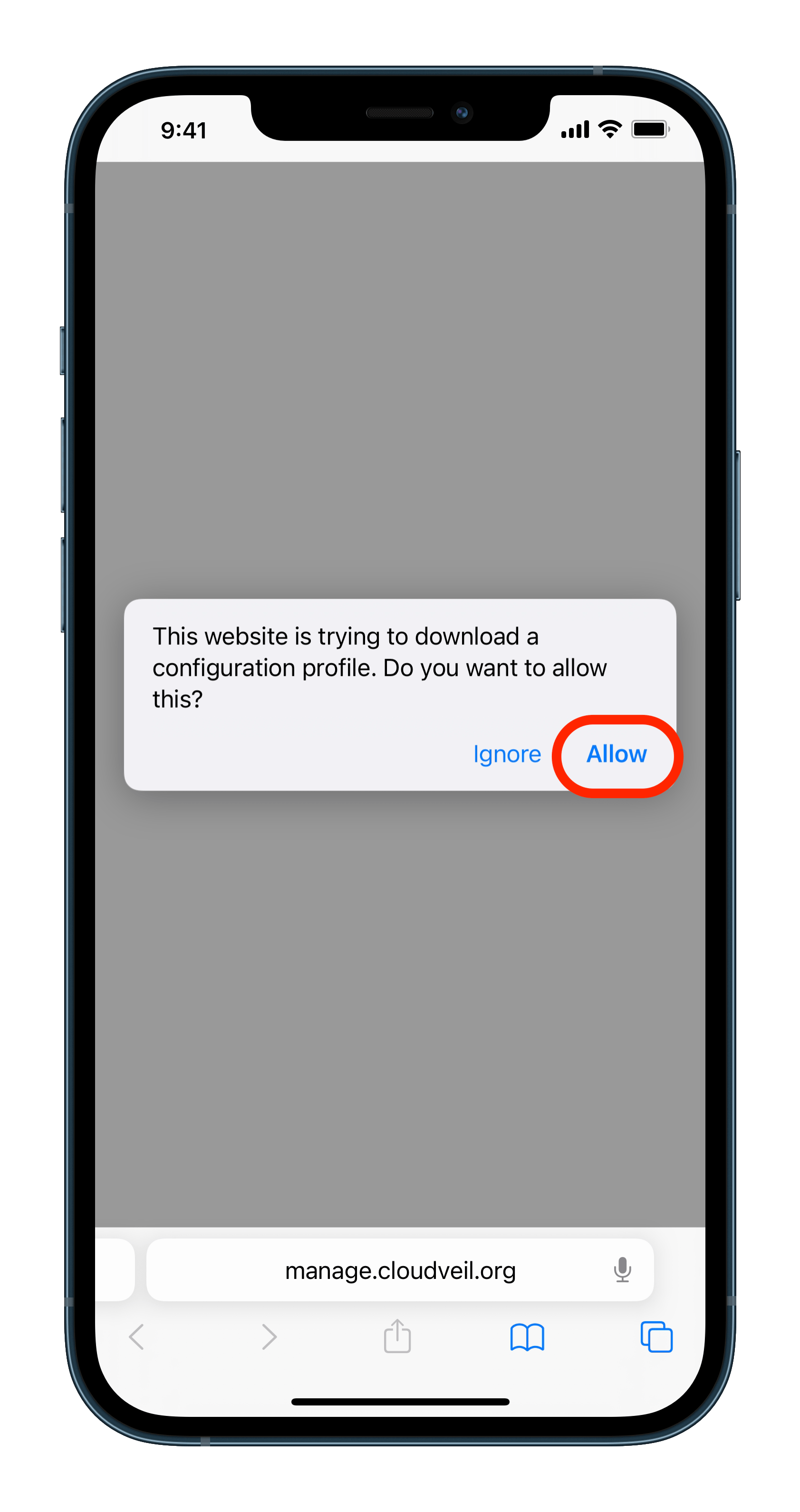Supervised Global Enrollment CloudVeil