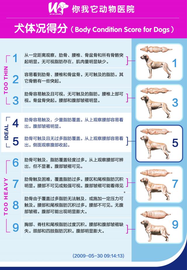 犬 呼吸数 1分 113859犬 呼吸数 1分 jpwallakunem