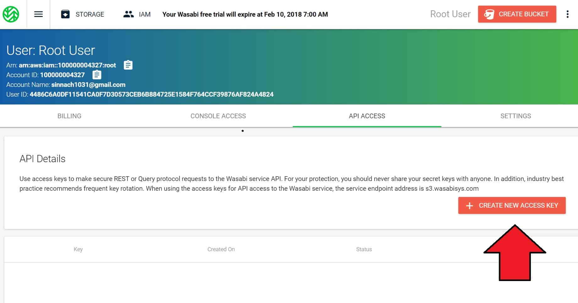 Wasabi Storage Review Updated 2024
