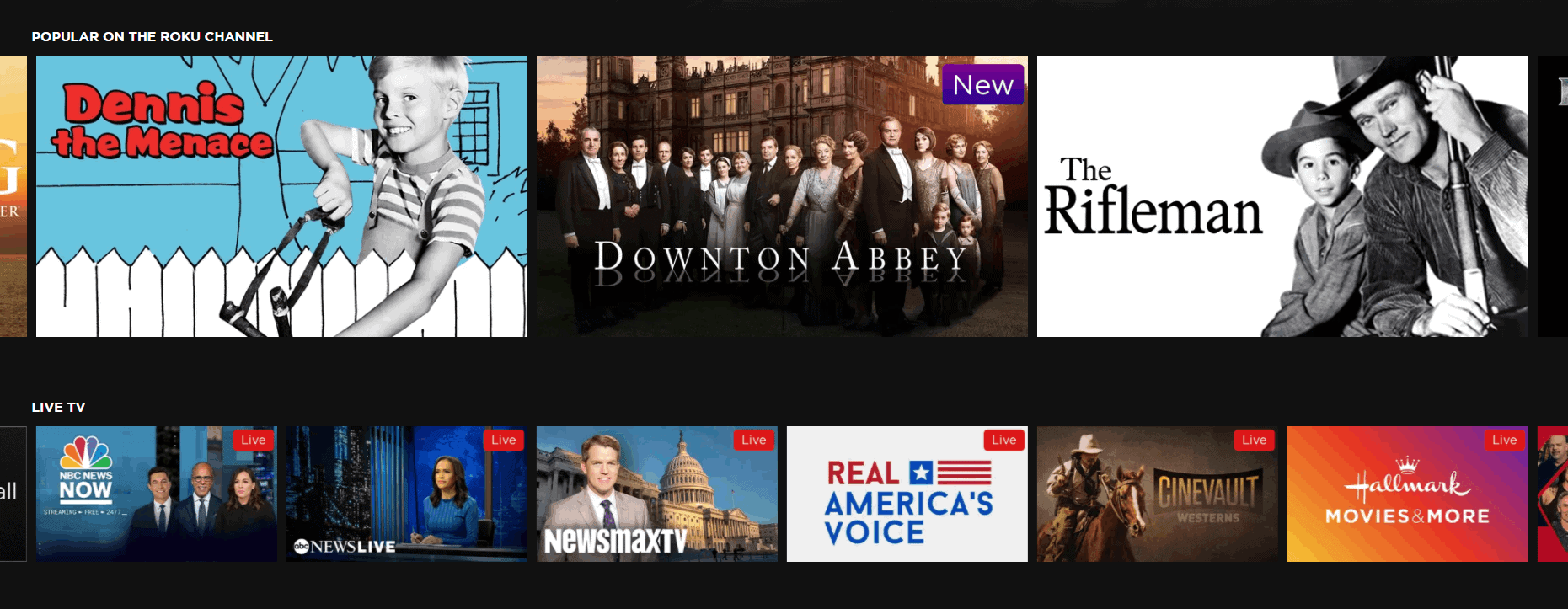 Best Fire Stick Channels in 2024 [Amazon’s Content Lineup]