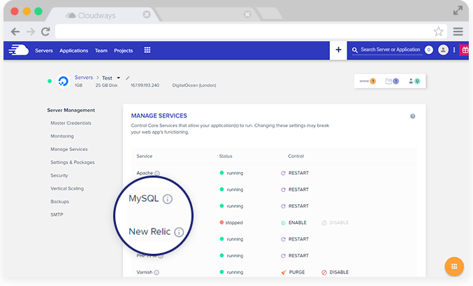 Powerful MySQL Hosting For Performance Focused Websites