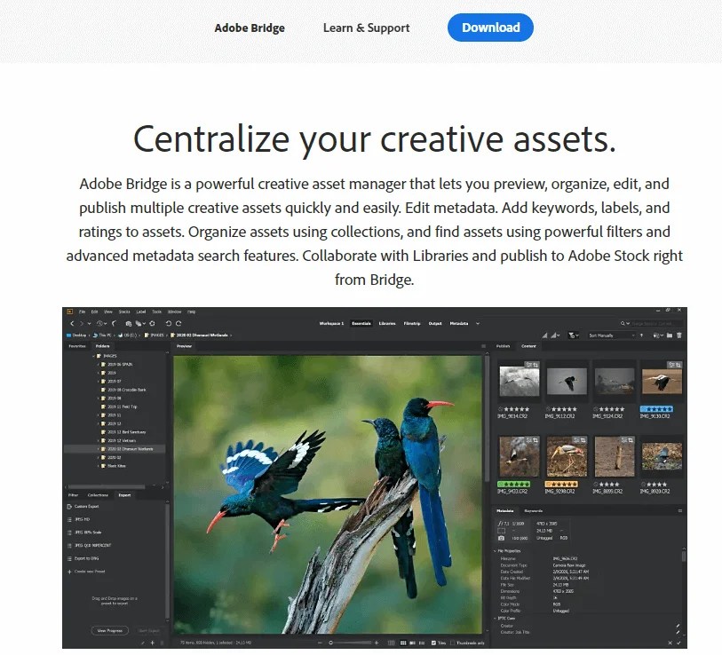 27 Best Photo Management Software of 2021 Cloudzat