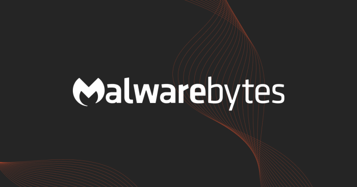 Malwarebytes net worth