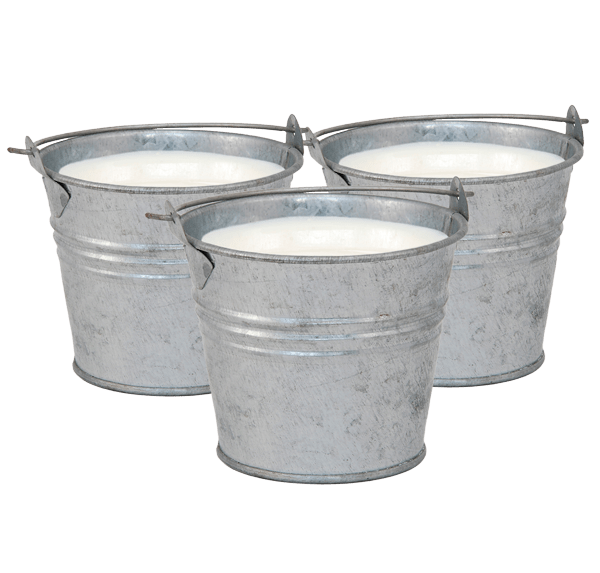 Clover Farms Milk Buckets Clover Farms