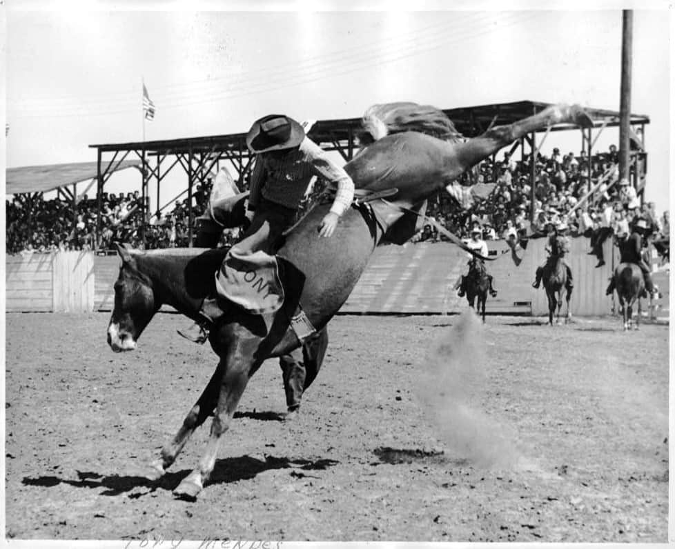 History Clovis Rodeo