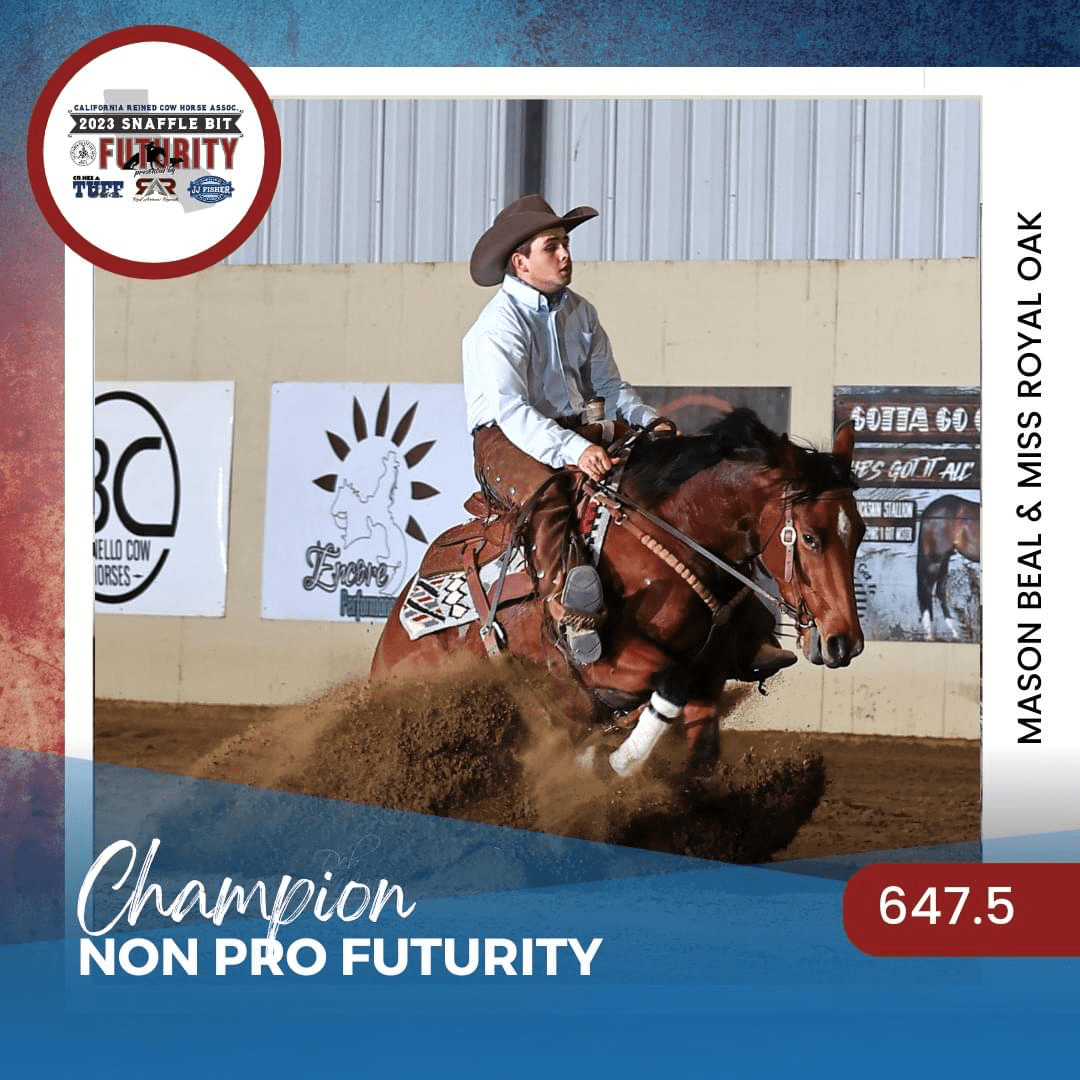 A horseriding futurity phenom whose future is now Clovis Roundup